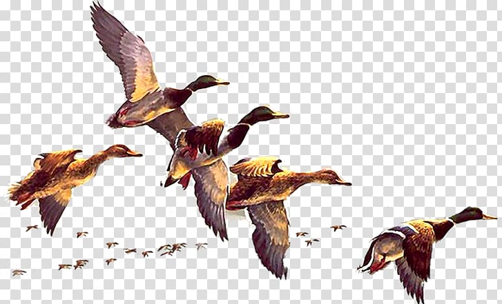 flying geese golden material transparent background PNG clipart