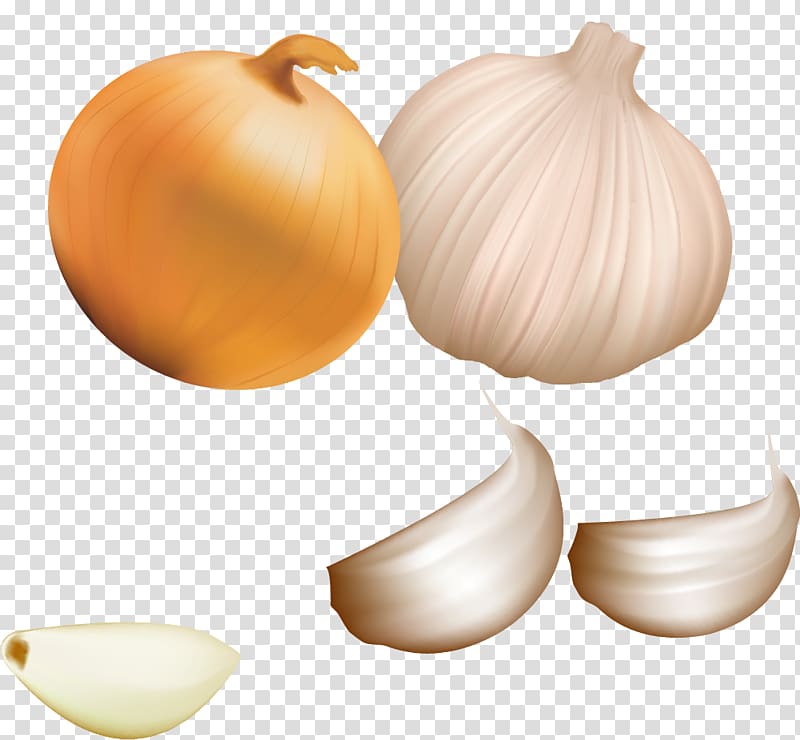 Garlic Icon, Garlic transparent background PNG clipart