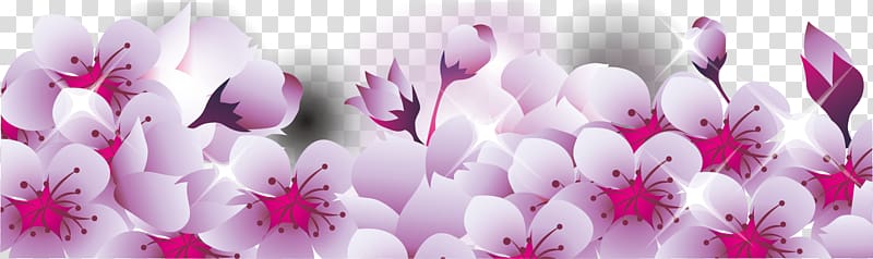 National Cherry Blossom Festival, Cherry border shading transparent background PNG clipart
