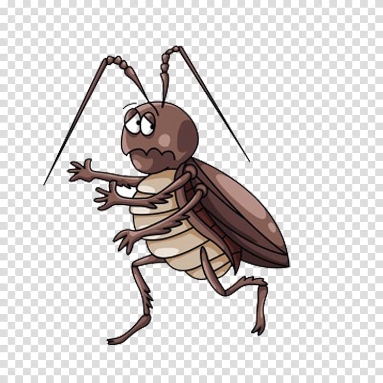 Cockroach Cartoon , Cockroach escape transparent background PNG clipart