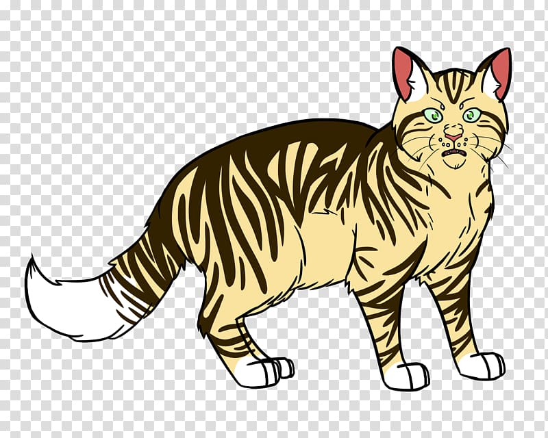 Toyger Whiskers Tabby cat Domestic short-haired cat Wildcat, Golden smoke transparent background PNG clipart