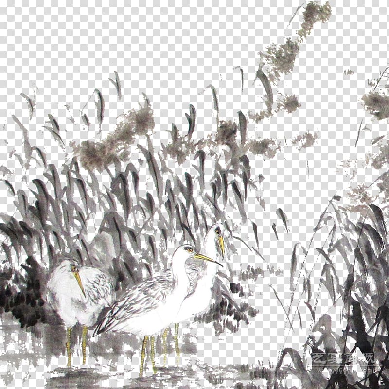 Ink wash painting Chinese painting Gongbi, Two white goose ink on the reed marshes transparent background PNG clipart