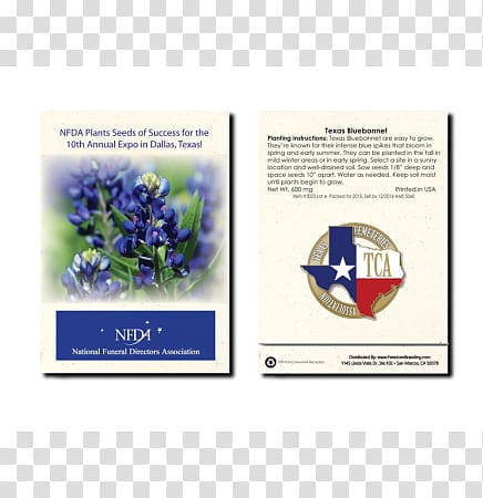 Bluebonnet Flower Seed Lupinus texensis, flower transparent background PNG clipart