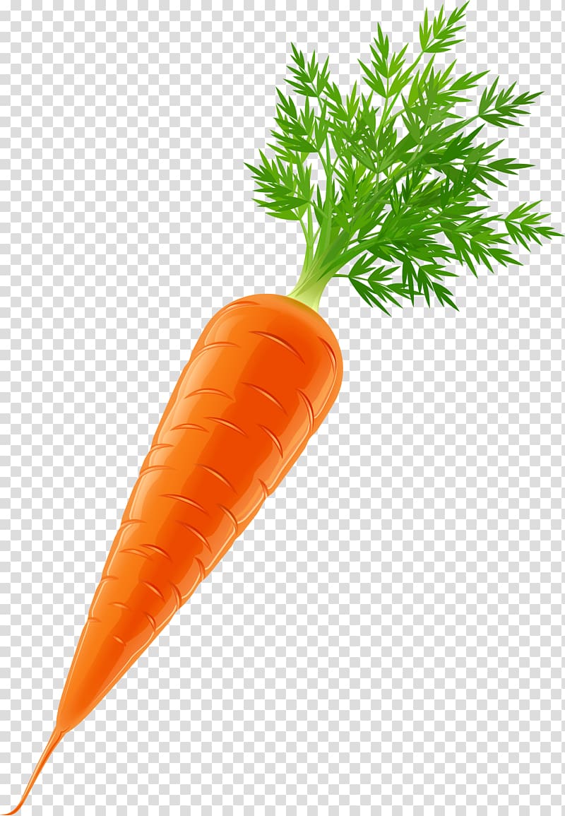 Vegetable Carrot , melon transparent background PNG clipart