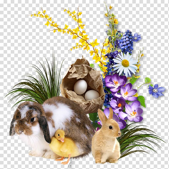 Easter Bunny Resurrection of Jesus Holiday, Easter transparent background PNG clipart