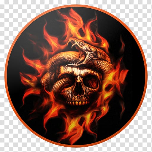 Human skull symbolism Calavera Desktop Skull art, skull transparent background PNG clipart