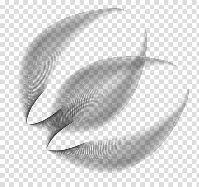 Painting Black and white Drawing, painting transparent background PNG clipart