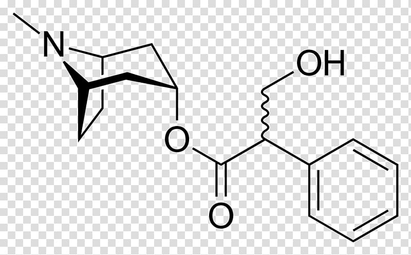 Hyoscine Hyoscyamine Belladonna Atropine Muscarinic antagonist, others transparent background PNG clipart