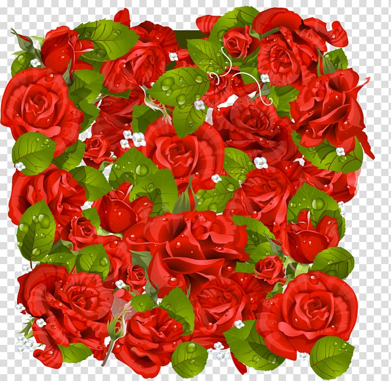 Garden roses Frames , Tiff transparent background PNG clipart