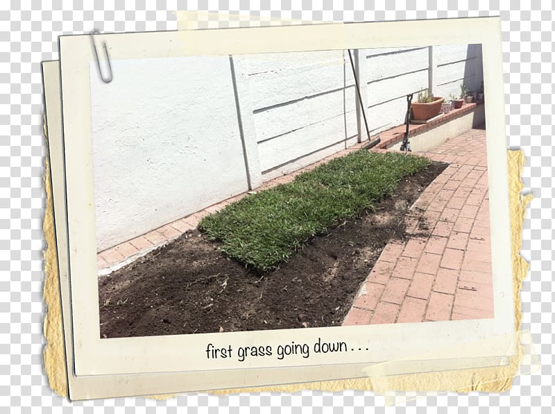 Window Landscaping Herb, window transparent background PNG clipart