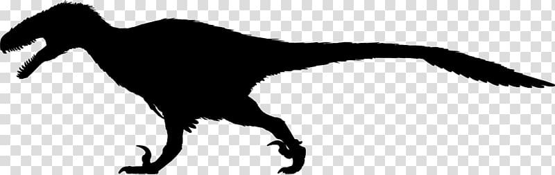 Deinonychus Velociraptor Utahraptor Austroraptor Achillobator, dinosaur transparent background PNG clipart