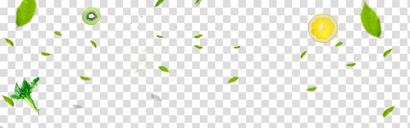 Logo Brand Pattern, Green leaves fruit slices vegetable floating material transparent background PNG clipart