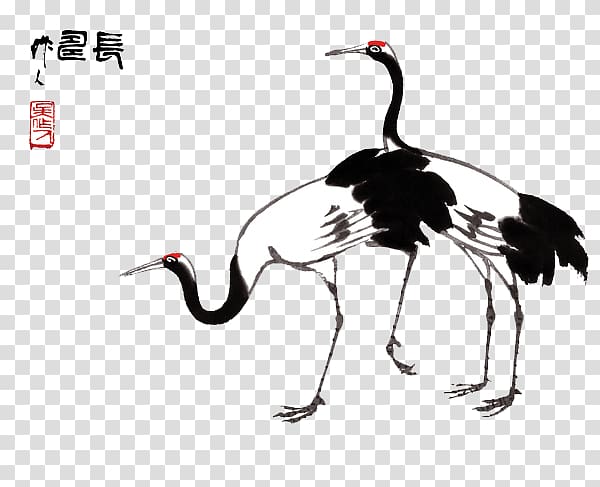 red-crowned crane creative freehand transparent background PNG clipart