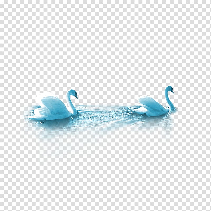 Cygnini Duck Mooncake, swan transparent background PNG clipart