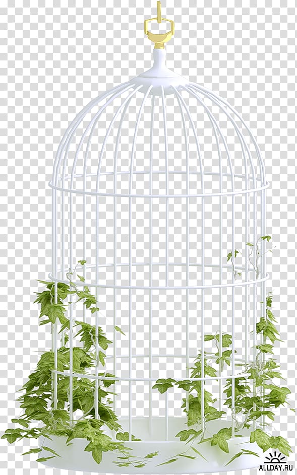 Birdcage, birdcage transparent background PNG clipart