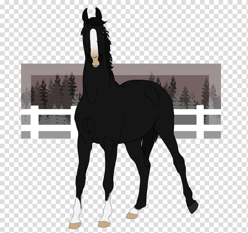 Stallion Foal Mare Mustang Halter, grown ups transparent background PNG clipart