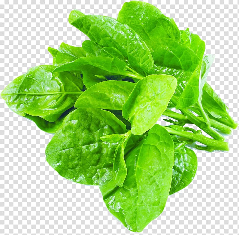 Choy sum Malabar spinach Leaf vegetable, vegetable transparent background PNG clipart