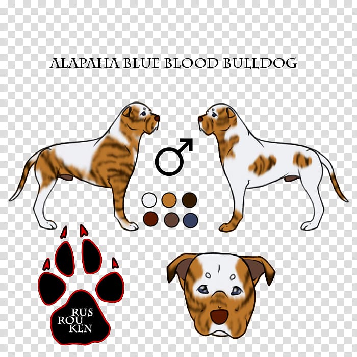 Dog breed Puppy Paw Walking, Alapaha Blue Blood Bulldog transparent background PNG clipart