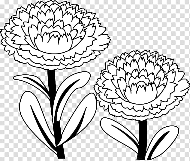 Floral design Calendula officinalis Coloring book Drawing, flower transparent background PNG clipart