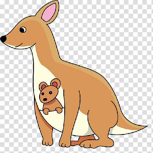 Joey Kangaroo Macropodidae , kangaroo transparent background PNG clipart