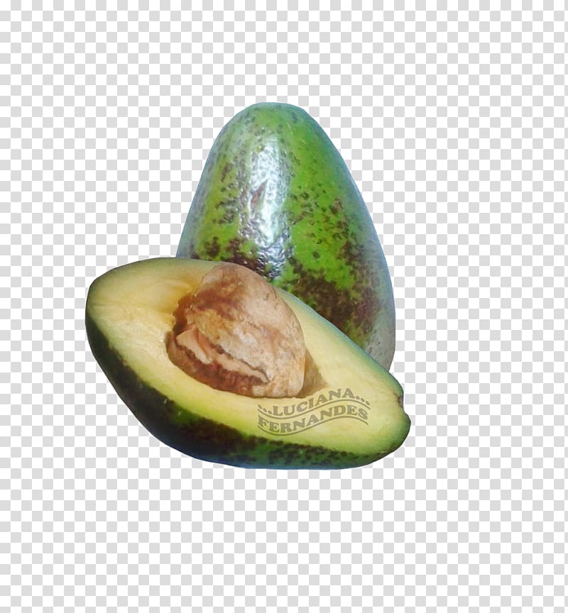 Avocado Food Ingredient Nut, avocado transparent background PNG clipart