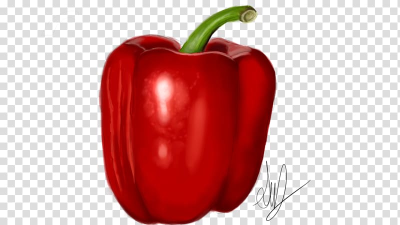 Chili pepper Cayenne pepper Bell pepper Paprika Peperoncino, watercolor pepper transparent background PNG clipart