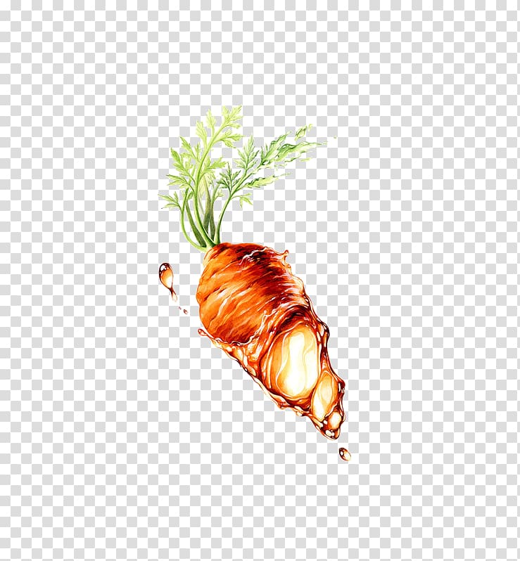 Carrot seed oil Vegetable, carrot transparent background PNG clipart