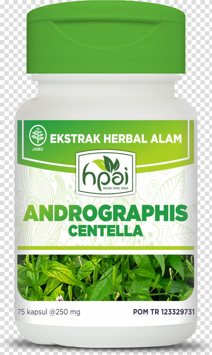 Green chiretta Centella asiatica Herb Disease Jamu, andrographis transparent background PNG clipart
