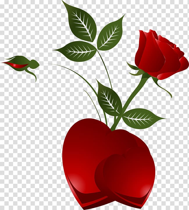 red rose flower with heart illustration, Rose Heart , Decorative Element Red Rose with Heart transparent background PNG clipart