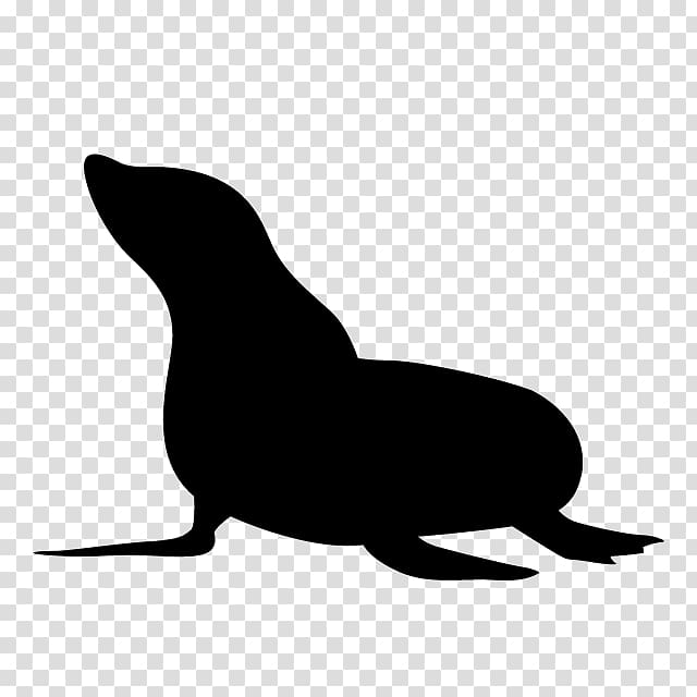 Sea lion Earless seal Silhouette Whiskers , Silhouette transparent background PNG clipart