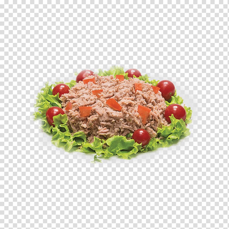 Vegetarian cuisine Food Salad Vegetable, tuna transparent background PNG clipart