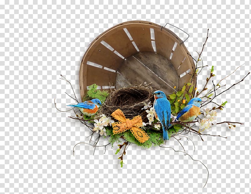 Bird, Pretty Bird\'s Nest transparent background PNG clipart