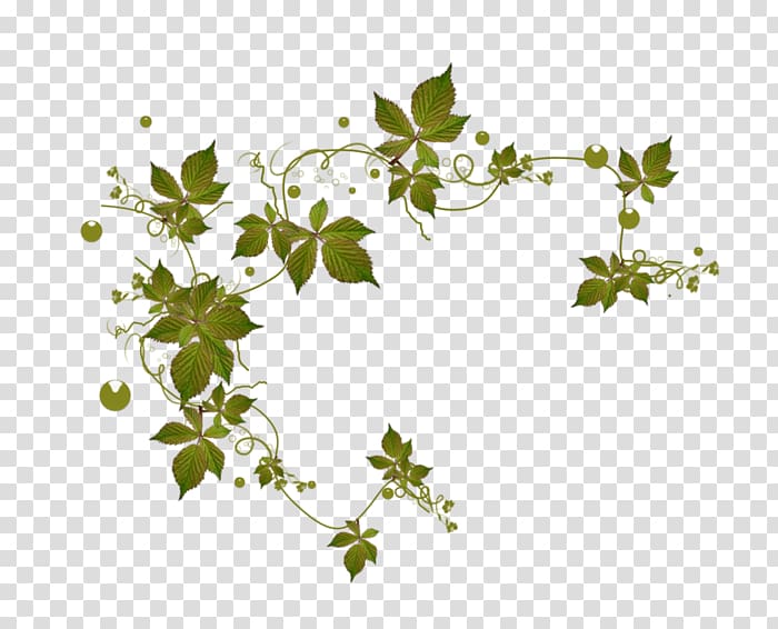 Desktop Leaf , flower vine swing transparent background PNG clipart