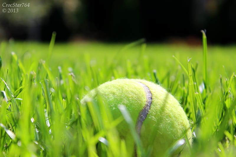 The Championships, Wimbledon Tennis Balls Padel, tennis transparent background PNG clipart