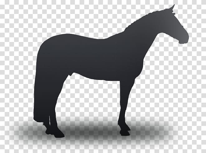 American Quarter Horse Mustang Stallion Pony Percheron, mustang transparent background PNG clipart