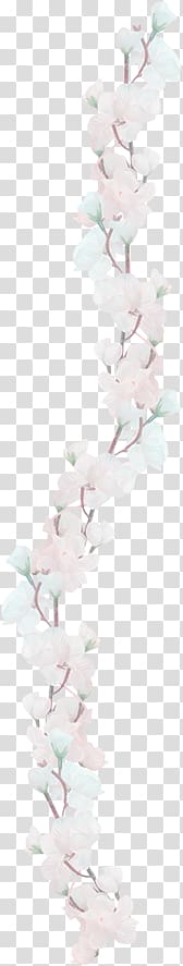 beautiful flowers transparent background PNG clipart