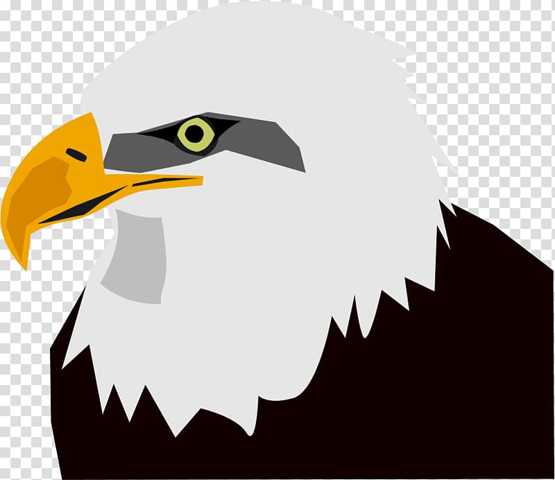 Bald Eagle , Eagle Head transparent background PNG clipart