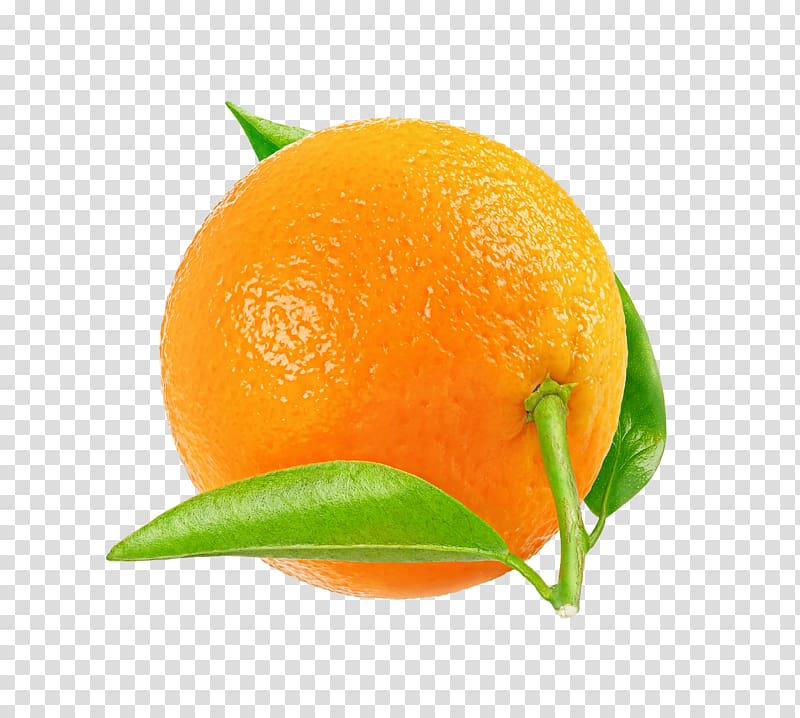 Tangerine Mandarin orange Tangelo Rangpur Clementine, tangerine transparent background PNG clipart