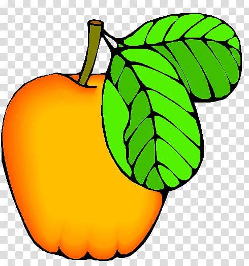 Apple Cucurbita Auglis Fruit , apple transparent background PNG clipart