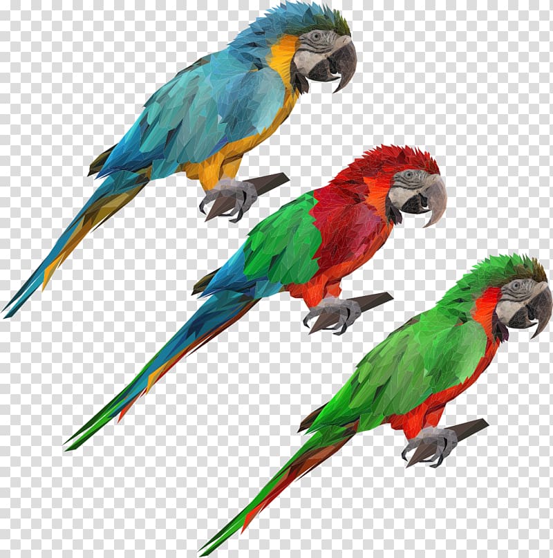 Parrot Bird Blue-and-yellow macaw, cartoon parrot transparent background PNG clipart