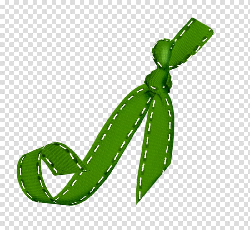 Ribbon Shoelace knot, Green ribbon bow transparent background PNG clipart