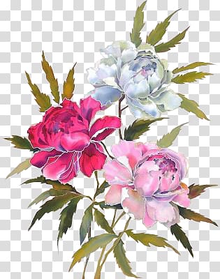 Moutan peony Flower Silk , peony transparent background PNG clipart