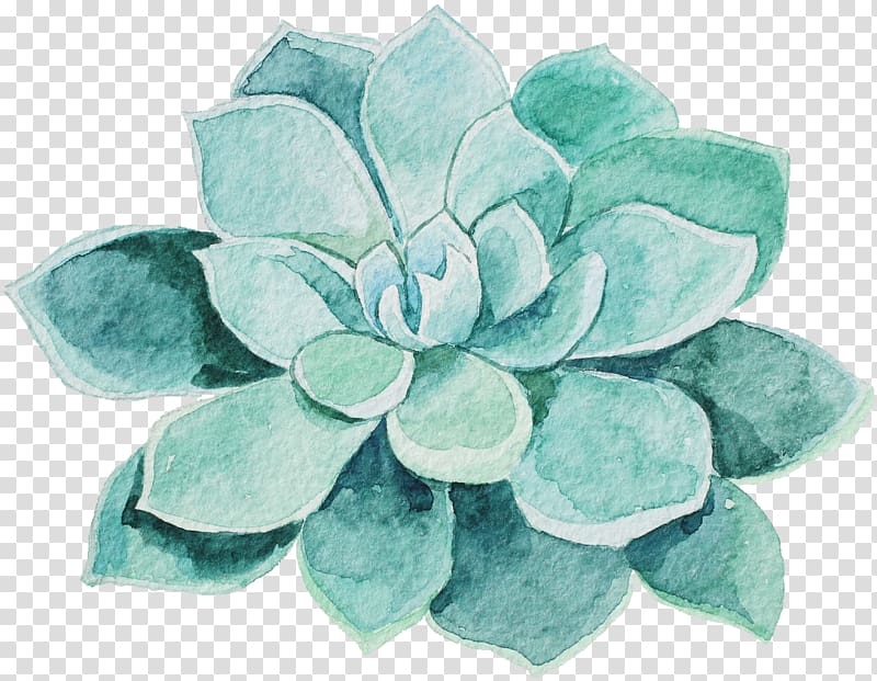 green leaf artwork, Watercolor painting Flower, Succulents transparent background PNG clipart