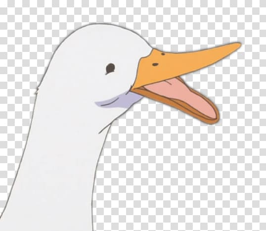 Duck Goose Anser YouTube Anime, duck transparent background PNG clipart