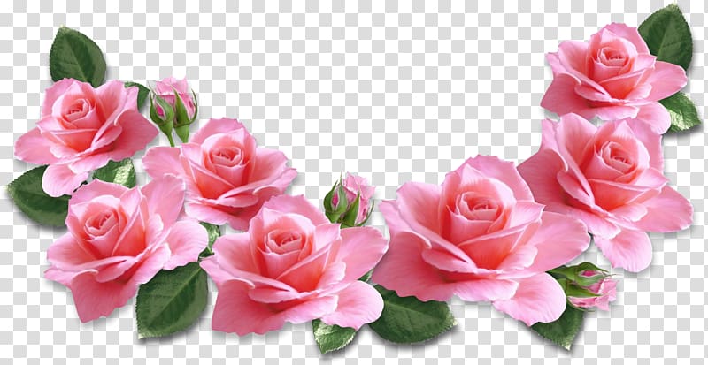 Rose Flower Pink , Pink Roses Decoration , pink rose illustrations  transparent background PNG clipart