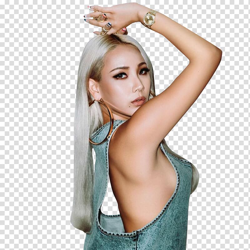 CL 2NE1 South Korea K-pop, others transparent background PNG clipart