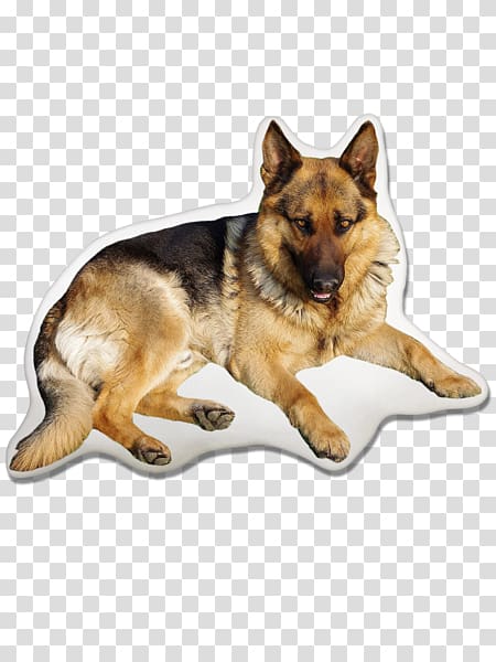 German Shepherd King Shepherd Kunming wolfdog Dog breed, others transparent background PNG clipart