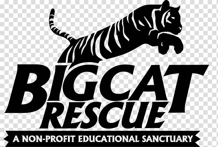 Tiger Big Cat Rescue Cougar Logo, tiger transparent background PNG clipart