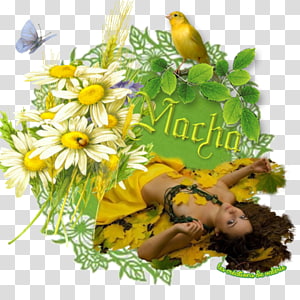 Cut flowers Floral design Flower bouquet, flower transparent background PNG clipart thumbnail