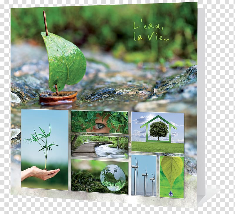 Ecology Greeting & Note Cards Nature Environmental protection Natural environment, double version transparent background PNG clipart